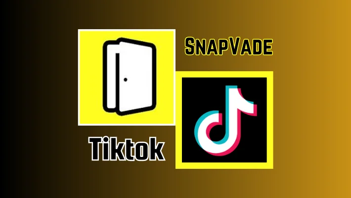 snapvade tiktok video downloader